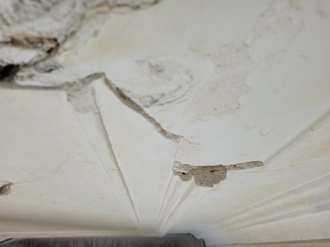 Restauratie lekkage stucwerk ornamenten verf verwijderen riet drager vertinnen raaplaag pleisteren lijsten trekken conservering Lodewijk XIV XVIRestauratie lekkage stucwerk ornamenten verf verwijderen