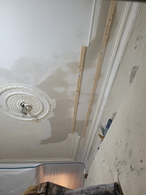 Restauratie lekkage stucwerk ornamenten verf verwijderen riet drager vertinnen raaplaag pleisteren lijsten trekken conservering Lodewijk XIV XVI