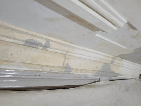 Restauratie lekkage stucwerk ornamenten verf verwijderen riet drager vertinnen raaplaag pleisteren lijsten trekken conservering Lodewijk XIV XVI