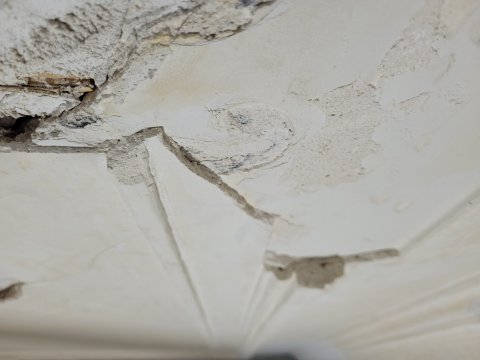 Restauratie lekkage stucwerk ornamenten verf verwijderen riet drager vertinnen raaplaag pleisteren lijsten trekken conservering Lodewijk XIV XVI
