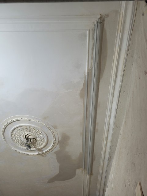 Restauratie lekkage stucwerk ornamenten verf verwijderen riet drager vertinnen raaplaag pleisteren lijsten trekken conservering Lodewijk XIV XVI