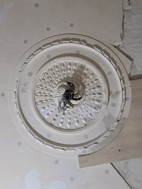 Restauratie lekkage stucwerk ornamenten verf verwijderen riet drager vertinnen raaplaag pleisteren lijsten trekken conservering Lodewijk XIV XVI