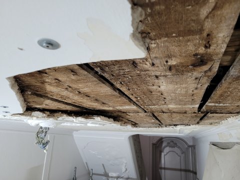 Restauratie lekkage stucwerk ornamenten verf verwijderen riet drager vertinnen raaplaag pleisteren lijsten trekken conservering Lodewijk XIV XVI