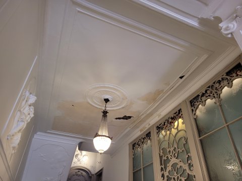 Restauratie lekkage stucwerk ornamenten verf verwijderen riet drager vertinnen raaplaag pleisteren lijsten trekken conservering Lodewijk XIV XVI