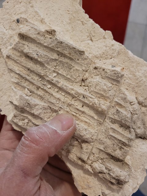 Restauratie lekkage stucwerk ornamenten verf verwijderen riet drager vertinnen raaplaag pleisteren lijsten trekken conservering Lodewijk XIV XVI