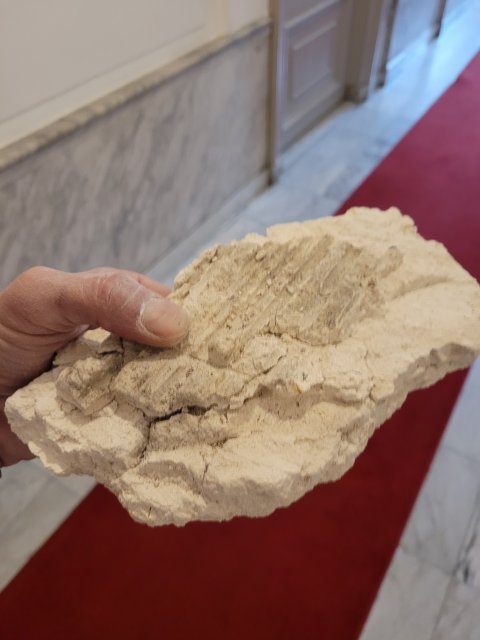 Restauratie lekkage stucwerk ornamenten verf verwijderen riet drager vertinnen raaplaag pleisteren lijsten trekken conservering Lodewijk XIV XVI