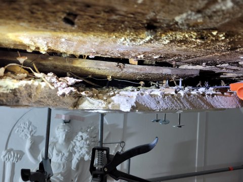 Restauratie lekkage stucwerk ornamenten verf verwijderen riet drager vertinnen raaplaag pleisteren lijsten trekken conservering Lodewijk XIV XVI