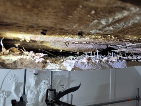 Restauratie lekkage stucwerk ornamenten verf verwijderen riet drager vertinnen raaplaag pleisteren lijsten trekken conservering Lodewijk XIV XVI